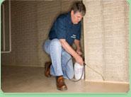 West Wickham pest control